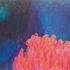 20121128200204-flamingos_at_night