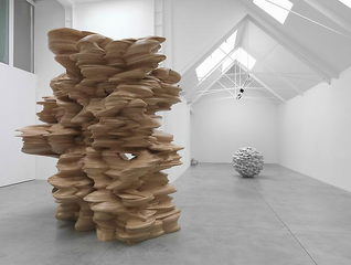 Installation View,Tony Cragg