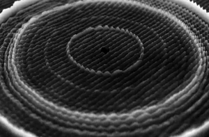 20121130055550-50th_aaff_tour_-_20hz