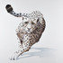 20121130214709-leopardemail