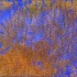 20121201001508-image