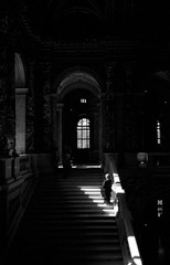 Light Series #1,Julia Dean
