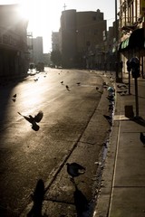Hereafter,Julia Dean