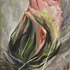 20121201050913-cactus_bud_acrylic_on_canvasette_8
