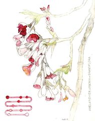 ,Frances Whitehead