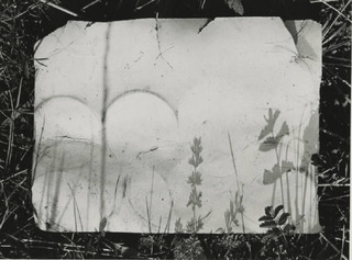 Untitled,Joseph Jachna
