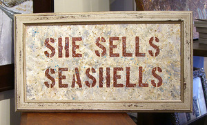 20121202224353-she_sells_seashells4