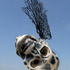 20121203113646-desiccation