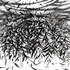 20121203150905-basis_shelter_uncropped