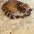20121203190359-will_exhibit_no_emotion