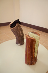 TRONCO, A Victim of TIme,Chaveli Sifre