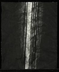 ,Shaun Odell