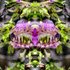 20121204210022-flower_15