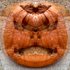 20121204210217-the_pumkin_7_r