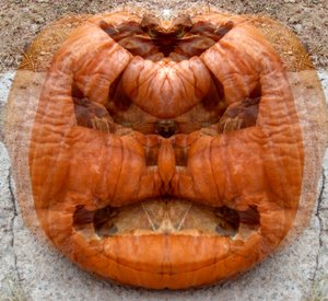 20121204210217-the_pumkin_7_r