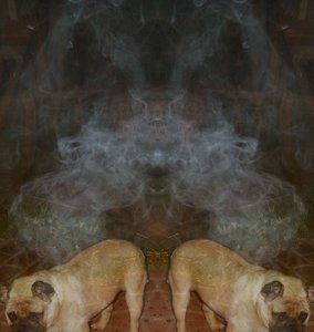 20121204210613-revised_gpug-picture_54_l