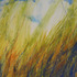 20121204214646-m_ireland_autumn_waves