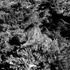 20121205064637-m_b-hubbs-01a
