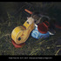 20121205210610-fisher_price_62__annie_murphy-robinson_pastel_on_paper_24x30__4_000