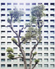 20121206020717-collection_1_001