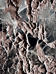20121207125506-neuro-polvere