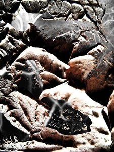 20121207125546-poursuit