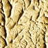 20121207125701-fossili