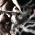 20121207125751-inside