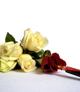 20121208191938-paint_the_roses_red_high_res