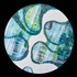 20121209020309-spontane_black_b