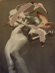Birds,Jeneleen Floyd