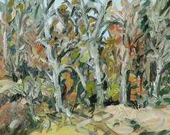 20121210170928-sycamore_trees