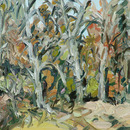 20121210170928-sycamore_trees