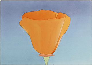 California Poppy,Mark Adams