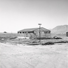 ,Robert Adams