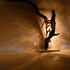 20121211111707-balletic_goniometer_1__4_