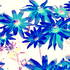 20121211174231-blue_flowers
