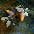 20121211232507-3_orange_bulbs_550x330