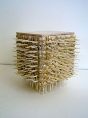 Shell Votive III,Diana Frawley