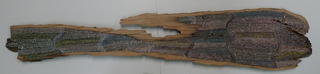 Project without Space # 6 - 1,Chen Shaoxiong & Liu Ding