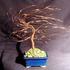 20121212143125-gold_wind_swept_up
