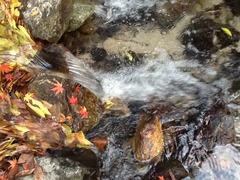 20121212154859-image