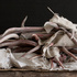 20121213002102-bdb_2012_actaeon-9qv78l