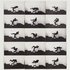 20121213174341-mcbr-2012-01