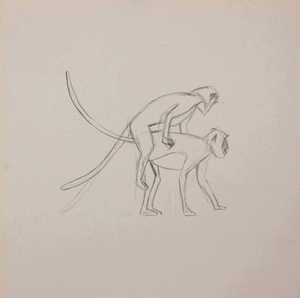 20121214110602-macacos