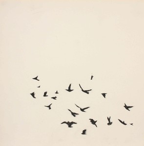 20121214110711-p_ssaros