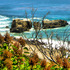 20121214135324-pch_beach_shots_revised_12-12-12