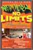 20121214165016-nynolimits_web