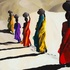 20121215182421-flowers_desert