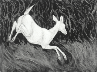 Autumn Doe,Mary Sundstrom